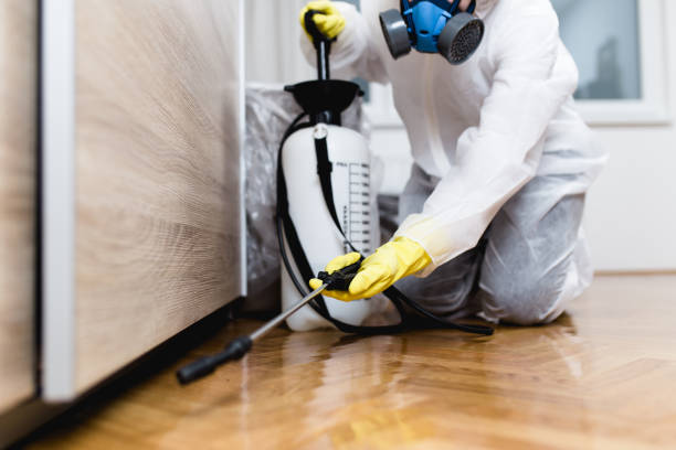 Best Pest Control Near Me in Spring Lake, MI