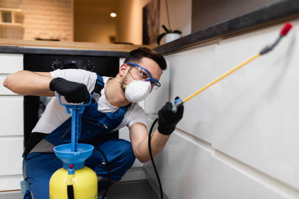 Best Commercial Pest Control Services  in Spring Lake, MI