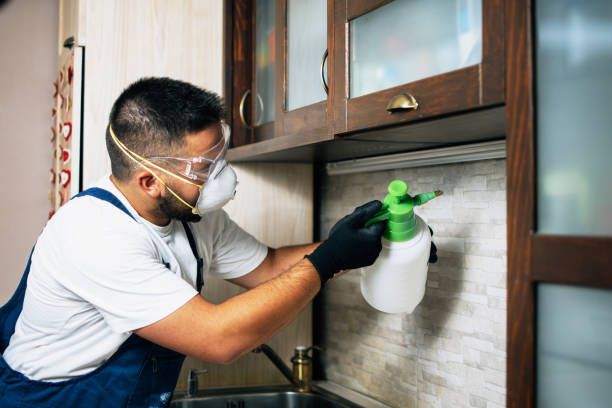 Best Commercial Pest Control Services  in Spring Lake, MI