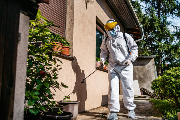 Best Flea Control Services  in Spring Lake, MI