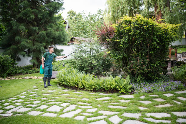 Best Pest Control Near Me  in Spring Lake, MI