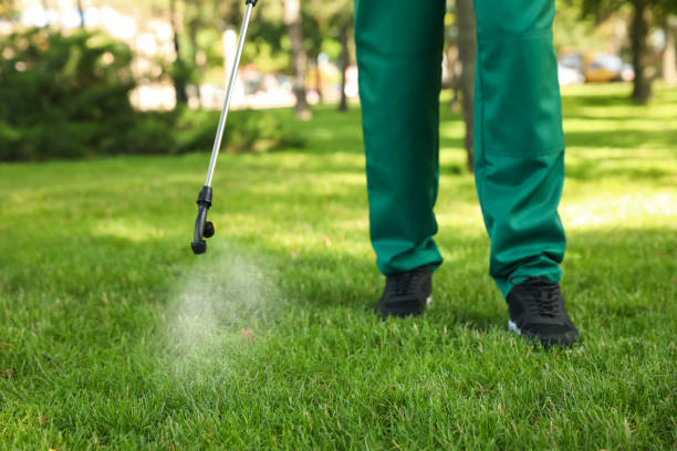 Best Exterminator Services  in Spring Lake, MI