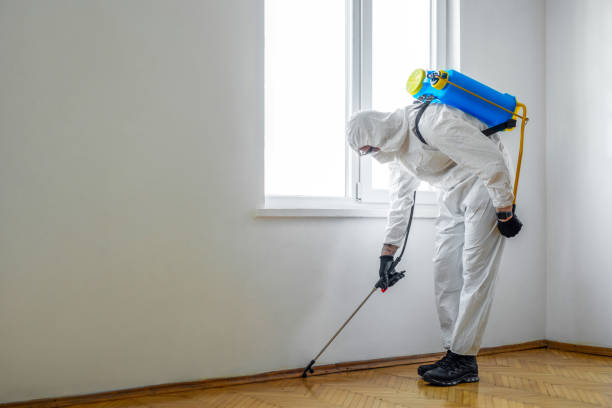 Best Ant Control Services  in Spring Lake, MI