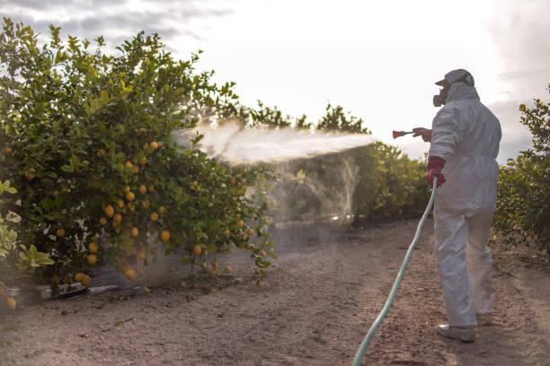 Best Wasp Removal Services  in Spring Lake, MI