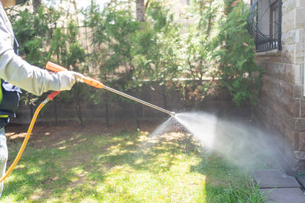 Best Pest Removal Services  in Spring Lake, MI