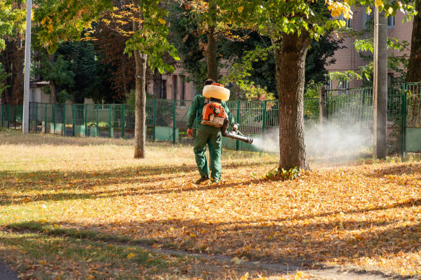 Best Rodent Control Near Me  in Spring Lake, MI