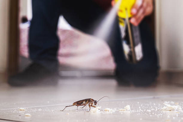 Best Rodent Control Near Me  in Spring Lake, MI