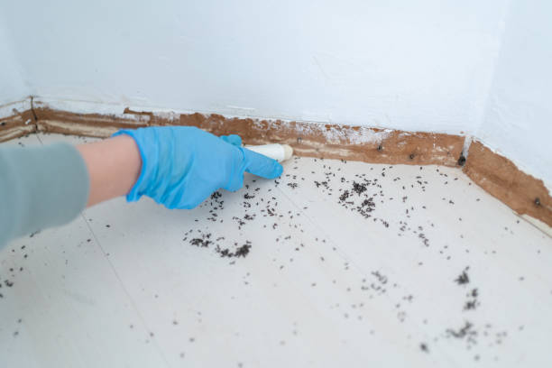 Spring Lake, MI Pest Control Company